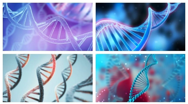 Which branch of biology does genetics belong to?